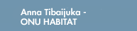 anna tibaijuka - ONU habitat