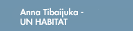 anna tibaijuka - un habitat